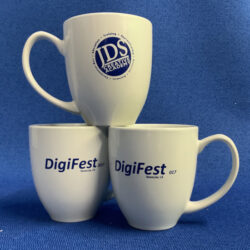 DigiFest Mug